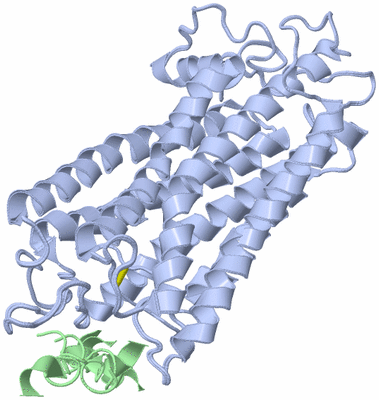 Image NMR Structure - all models