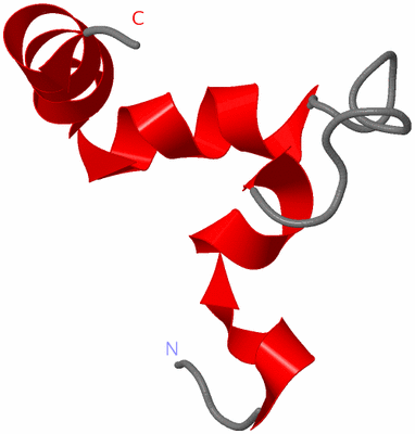 Image NMR Structure - model 1