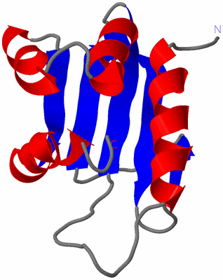 Image NMR Structure - model 1