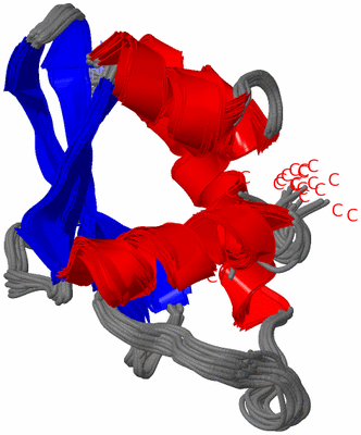 Image NMR Structure - all models