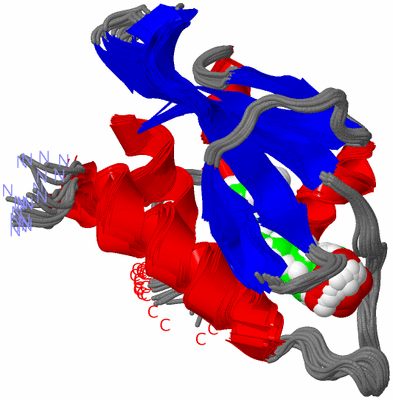 Image NMR Structure - all models