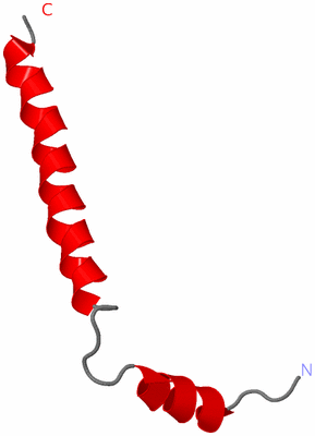 Image NMR Structure - model 1