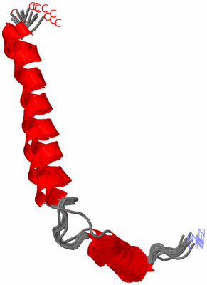 Image NMR Structure - all models