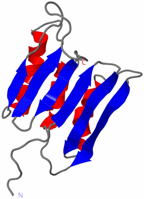 Image NMR Structure - model 1