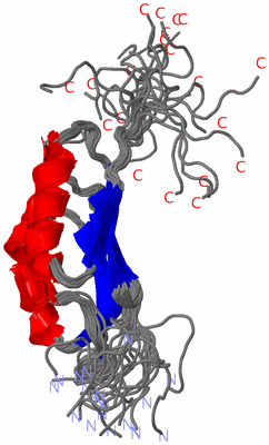 Image NMR Structure - all models