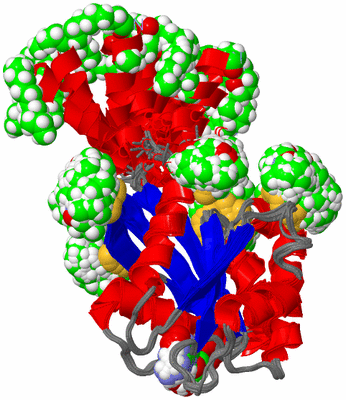 Image NMR Structure - all models