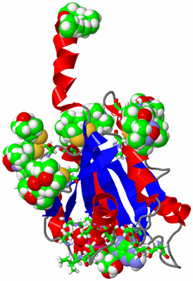 Image NMR Structure - model 1, sites