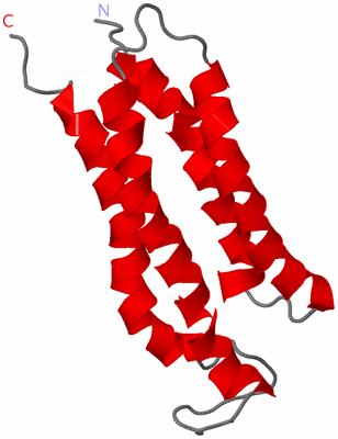 Image NMR Structure - model 1