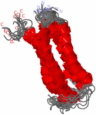 Image NMR Structure - all models