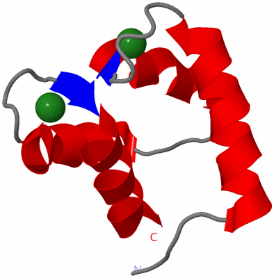 Image NMR Structure - model 1