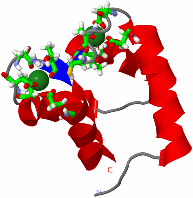 Image NMR Structure - model 1, sites