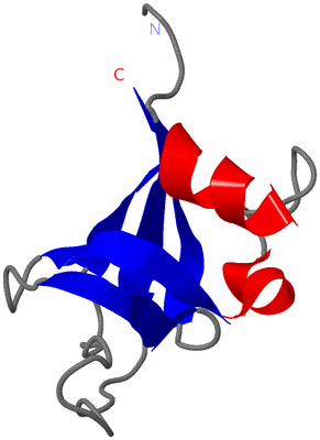 Image NMR Structure - model 1