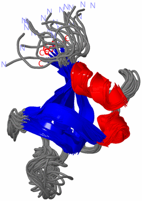 Image NMR Structure - all models