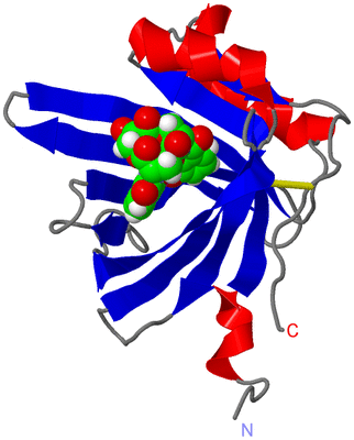 Image NMR Structure - model 1