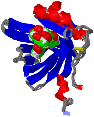 Image NMR Structure - all models