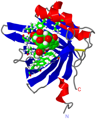Image NMR Structure - model 1, sites