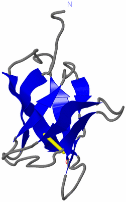 Image NMR Structure - model 1