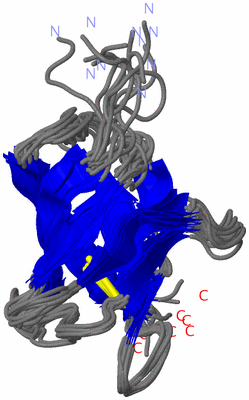 Image NMR Structure - all models