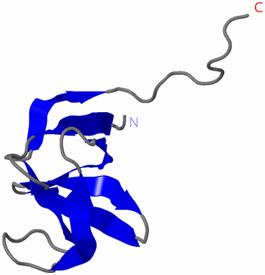 Image NMR Structure - model 1
