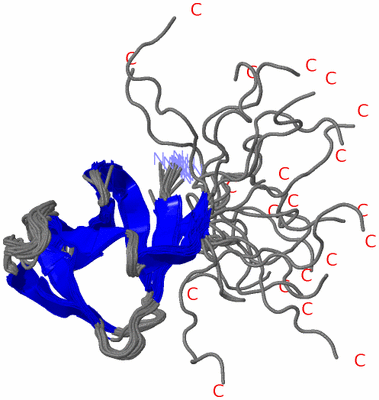 Image NMR Structure - all models