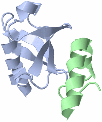 Image NMR Structure - model 1