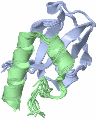 Image NMR Structure - all models