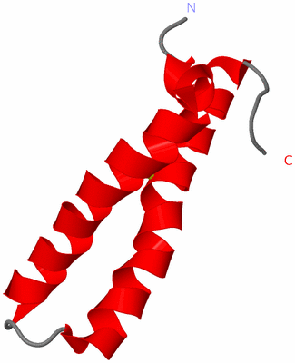 Image NMR Structure - model 1