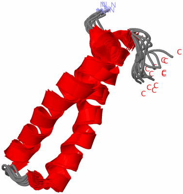 Image NMR Structure - all models