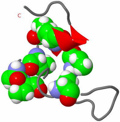 Image NMR Structure - model 1