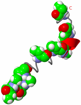 Image NMR Structure - model 1