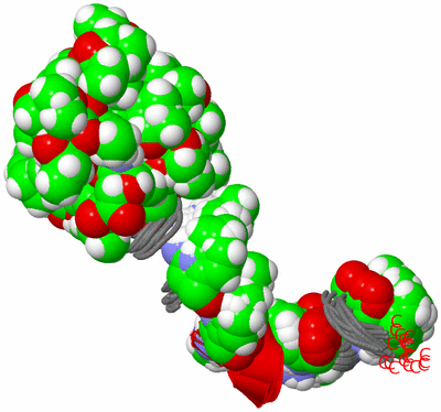 Image NMR Structure - all models