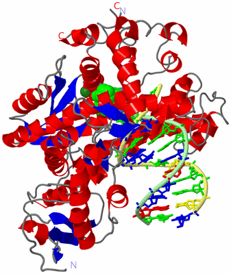 Image Asym./Biol. Unit