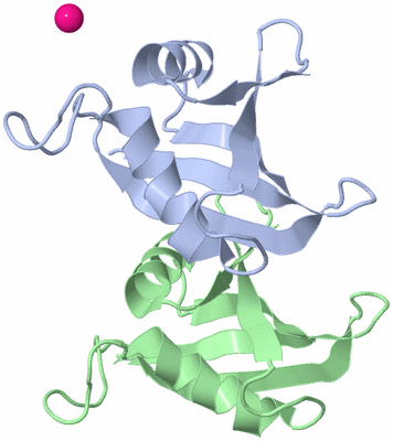 Image NMR Structure - model 1