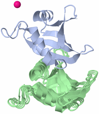 Image NMR Structure - all models