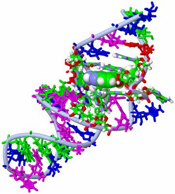 Image NMR Structure - model 1, sites