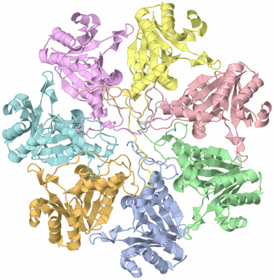 Image NMR Structure - model 1