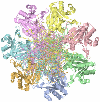 Image NMR Structure - all models