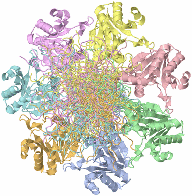 Image NMR Structure - all models