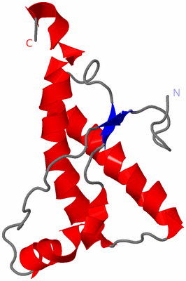 Image NMR Structure - model 1