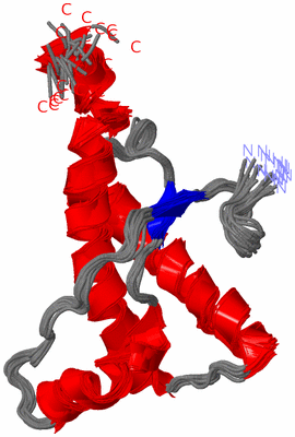 Image NMR Structure - all models