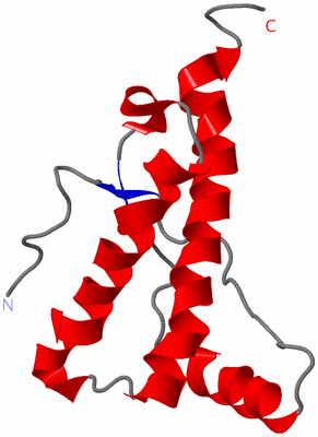 Image NMR Structure - model 1