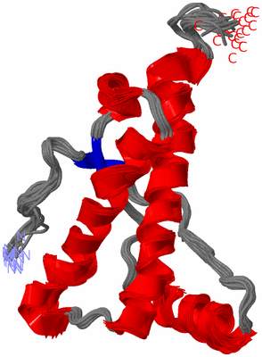 Image NMR Structure - all models