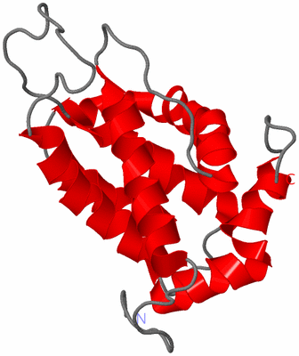 Image NMR Structure - model 1