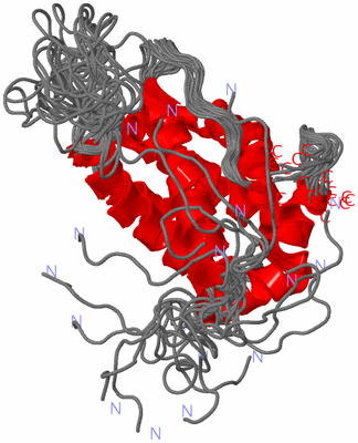 Image NMR Structure - all models