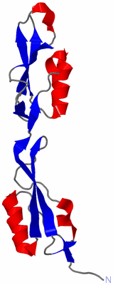 Image NMR Structure - model 1