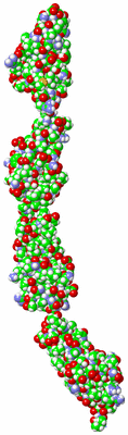 Image NMR Structure - model 1