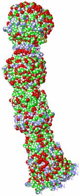 Image NMR Structure - all models