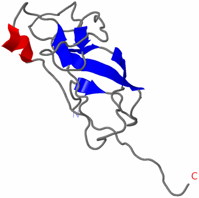 Image NMR Structure - model 1