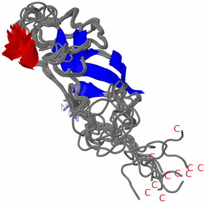 Image NMR Structure - all models