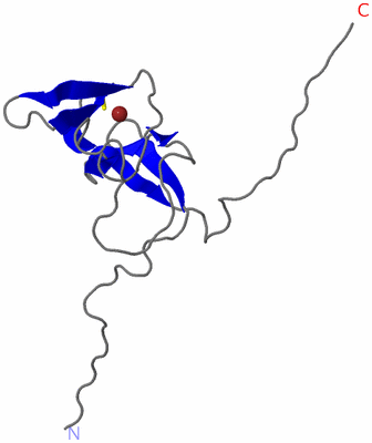 Image NMR Structure - model 1